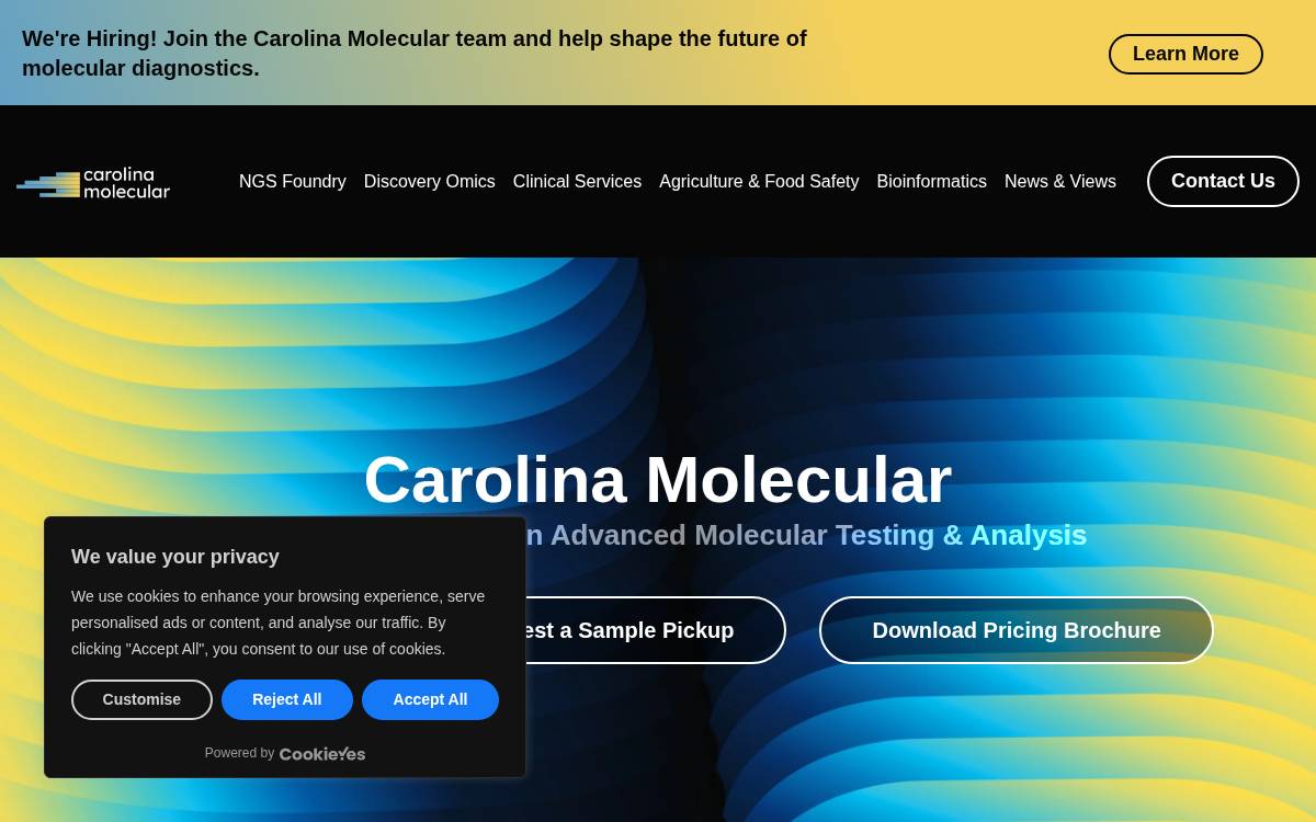 Carolina Molecular website preview
