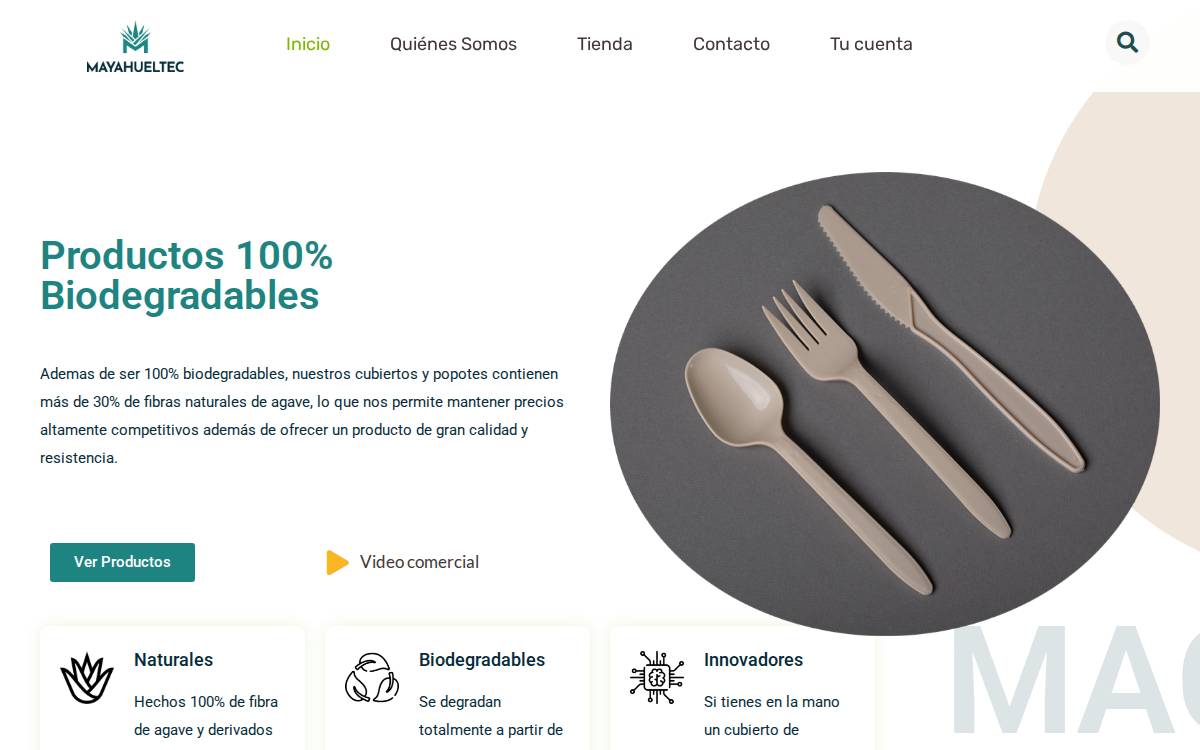 Carpe Mañana website preview