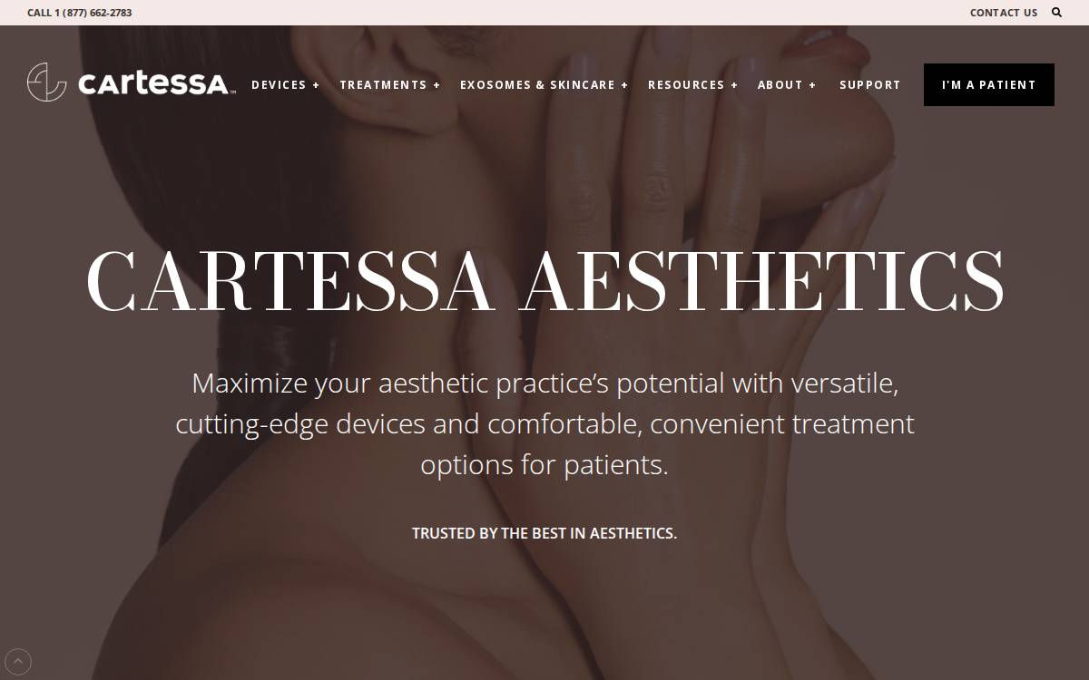 Cartessa Aesthetics website preview
