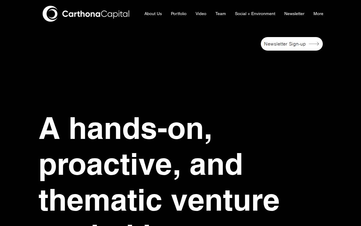 Carthonacapital website preview