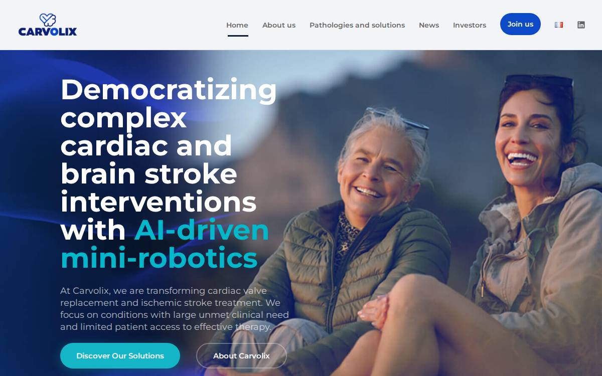 Carvolix website preview