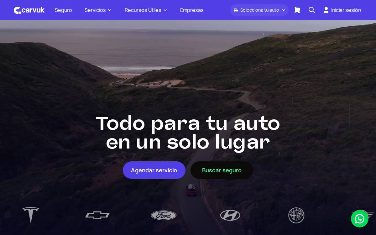 Carvuk website preview