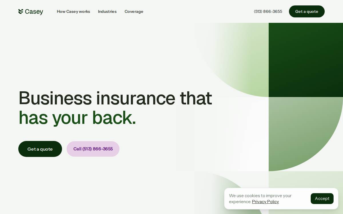 Casey website preview