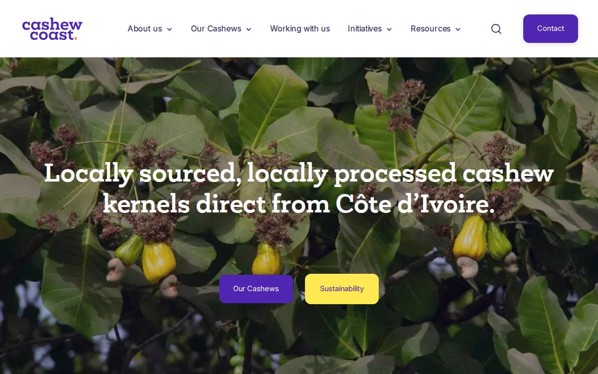 Cashew Coast website preview