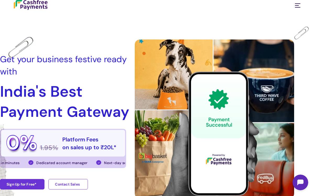 Cashfree Payments website preview