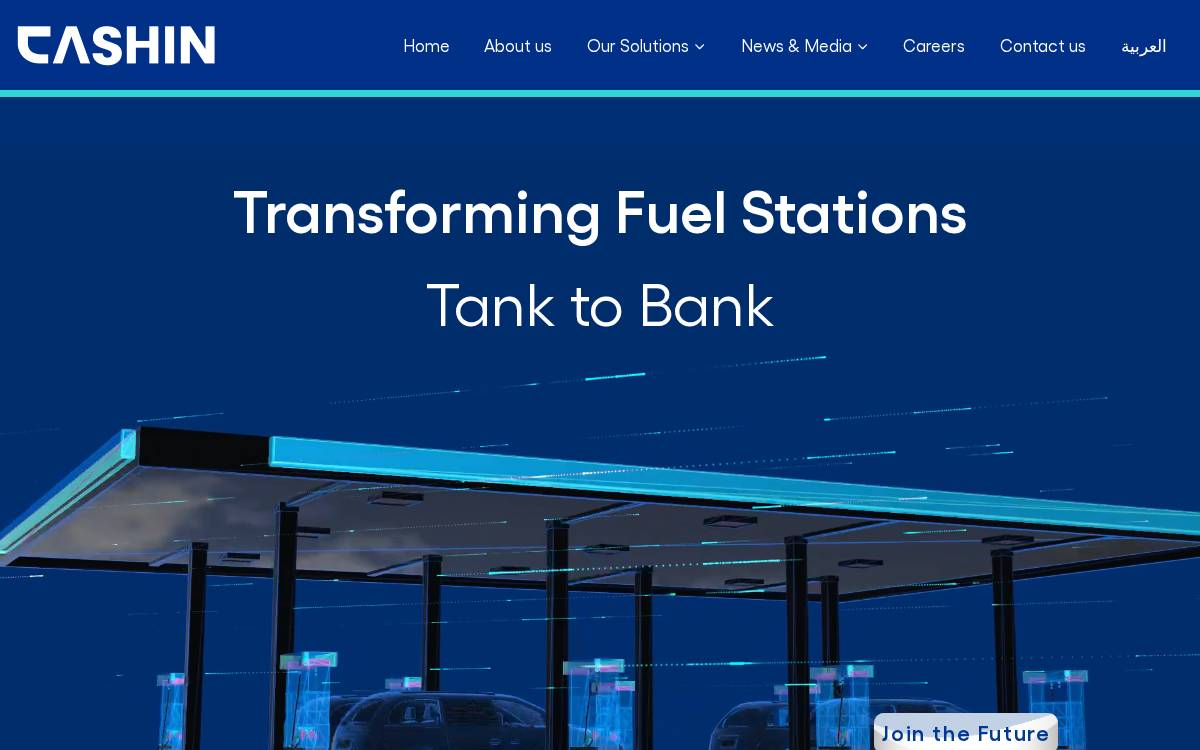 Cashin website preview