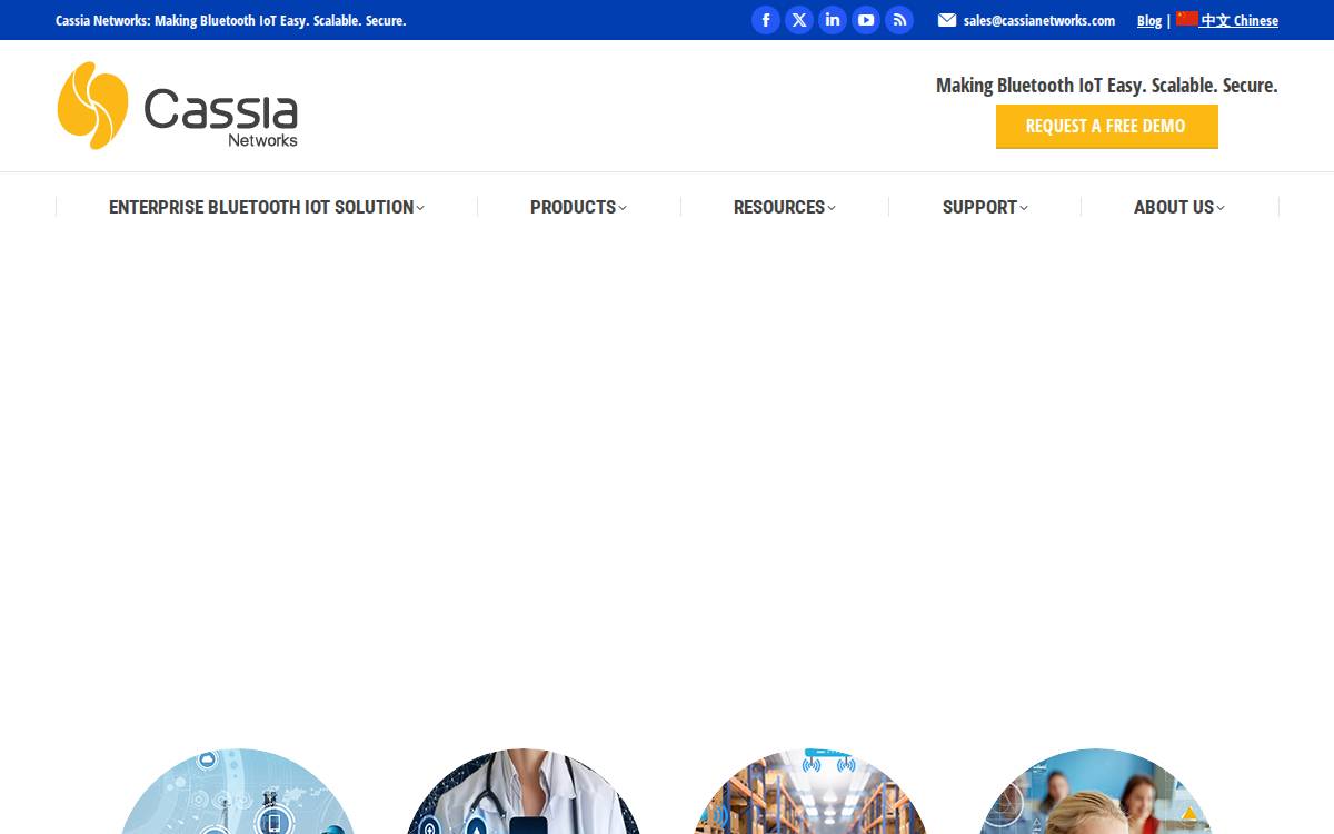 Cassia Networks website preview