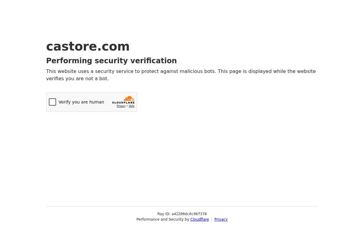 Castore website preview
