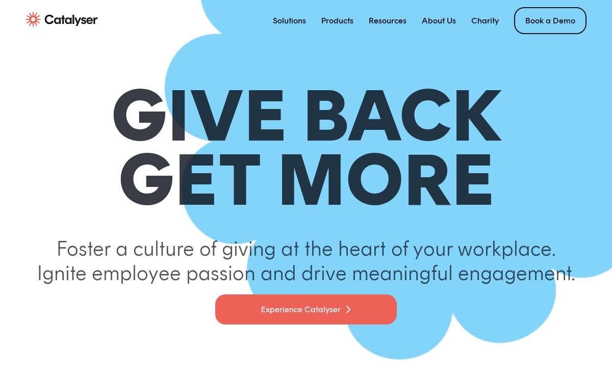 Catalyser website preview