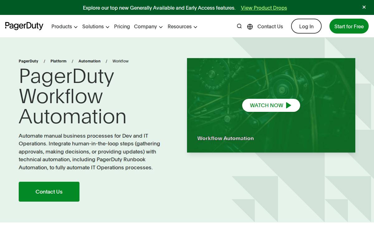 Catalytic website preview