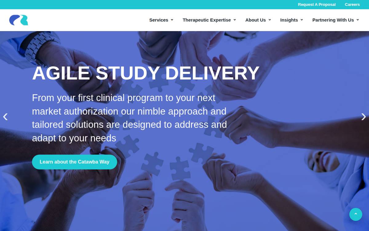 Catawbaresearch website preview