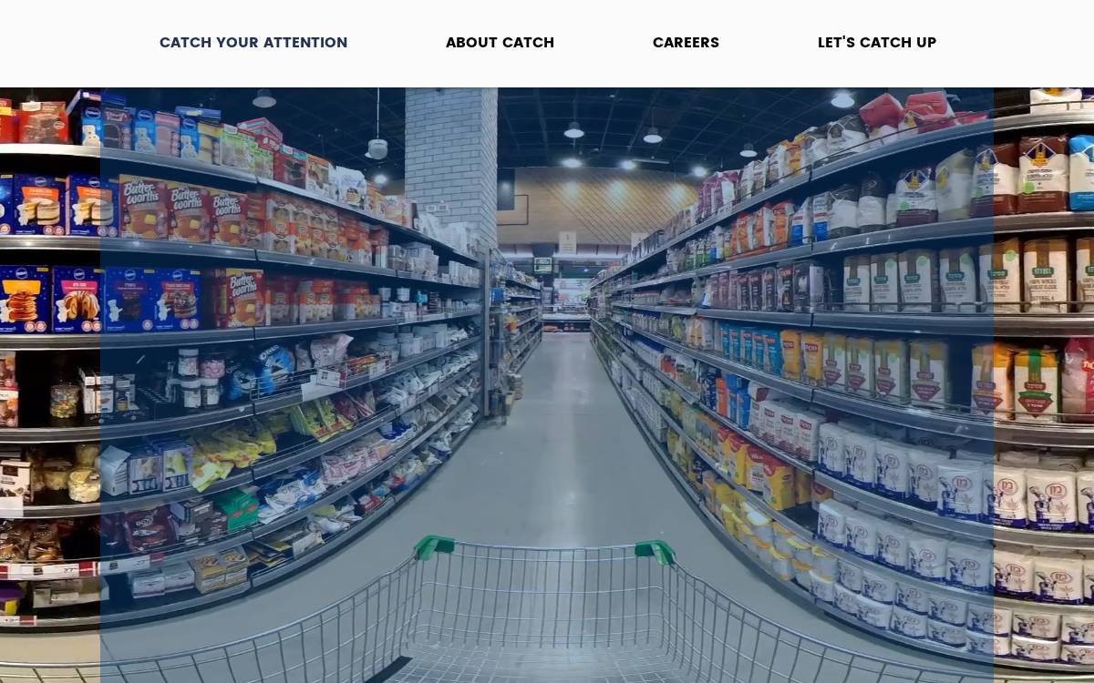 Catch website preview