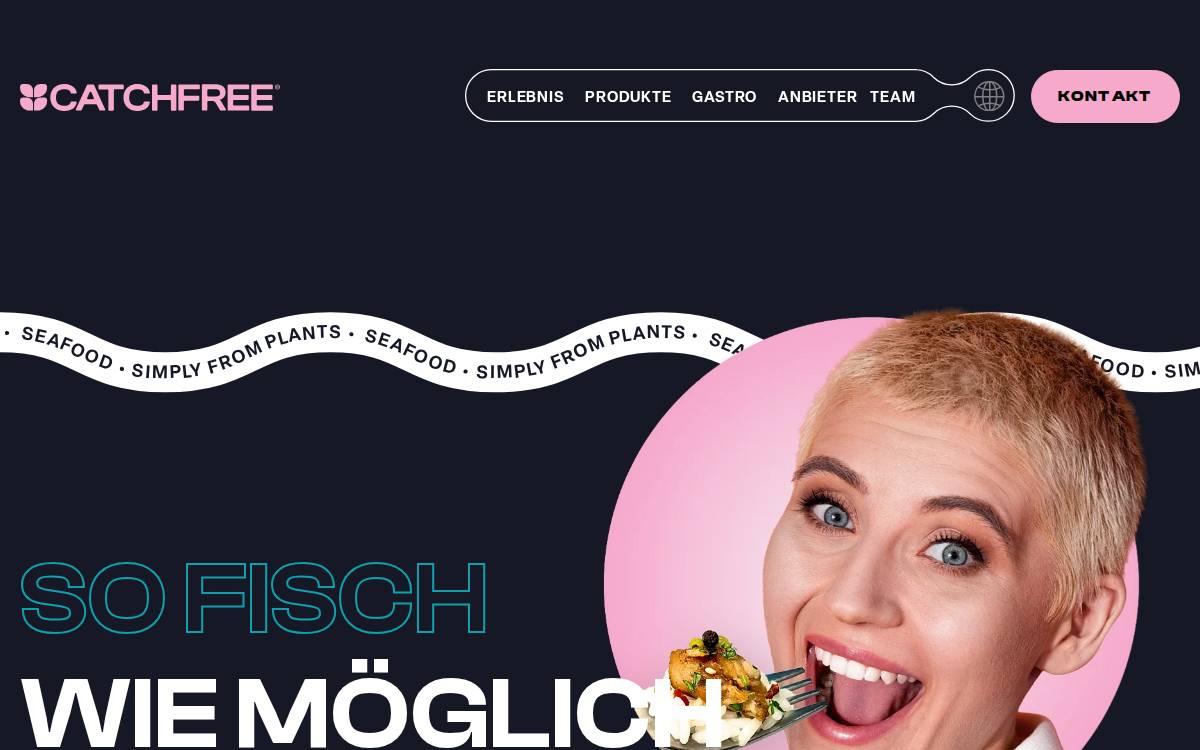 Catchfree website preview