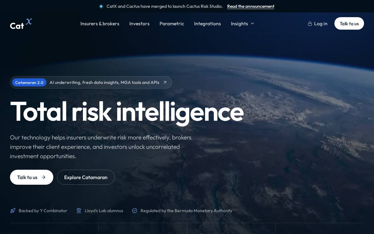 CatX website preview