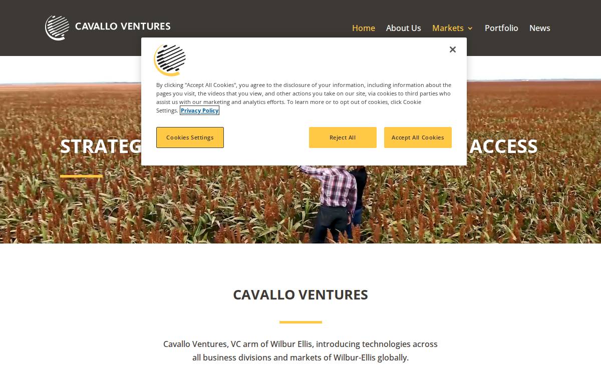 Cavallo Ventures website preview