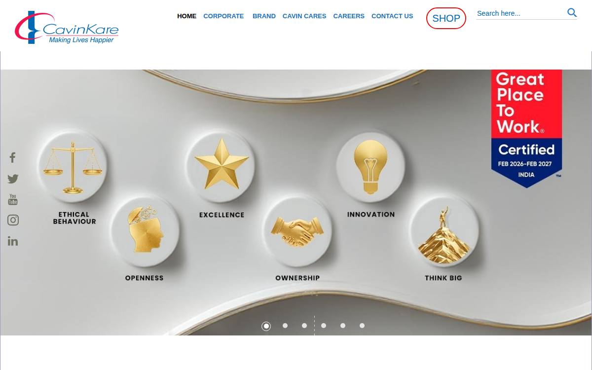 CavinKare website preview