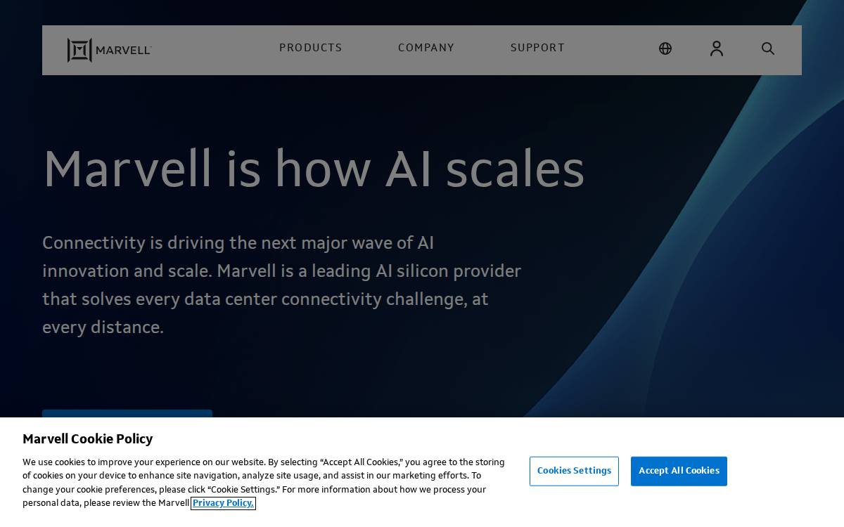 Cavium website preview