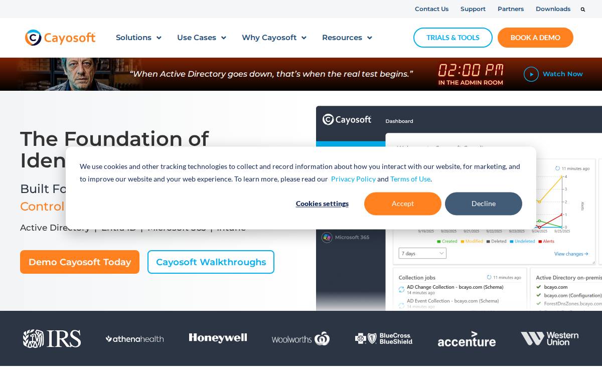 Cayosoft website preview