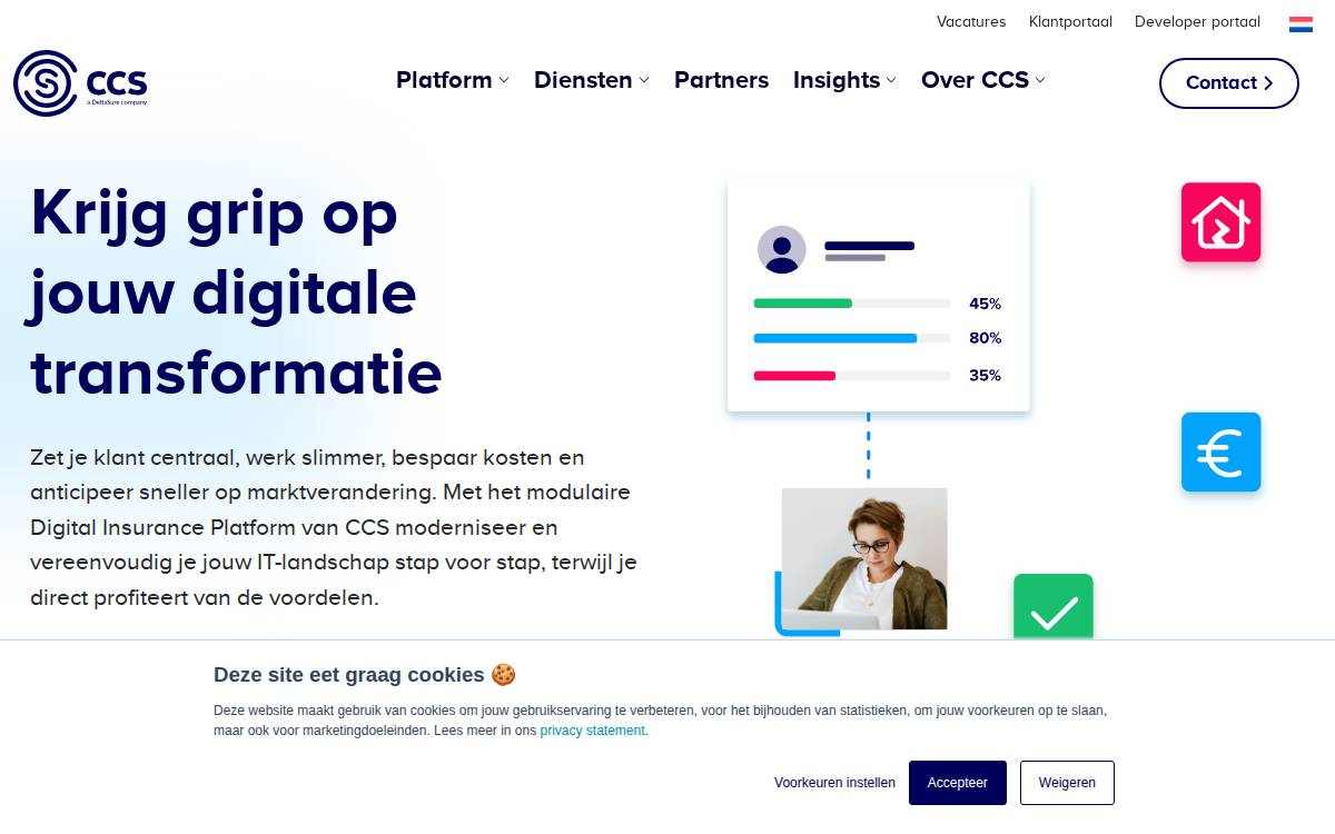 CCS website preview