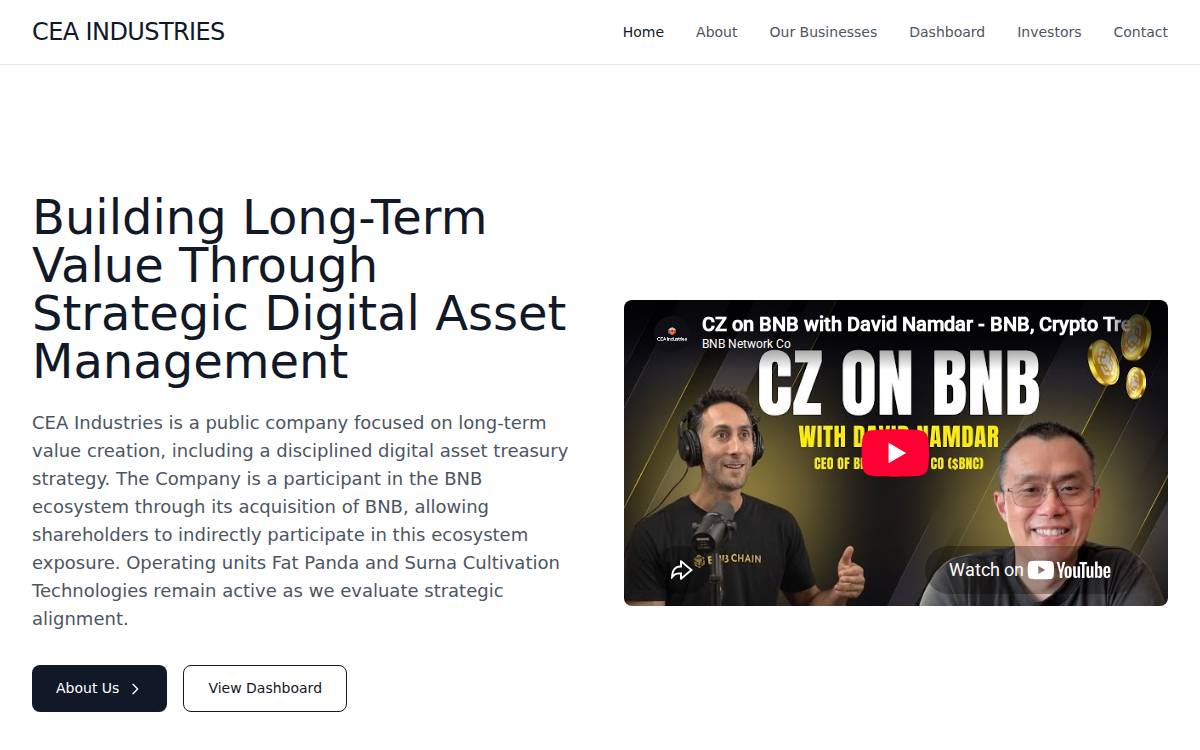 Ceaindustries website preview