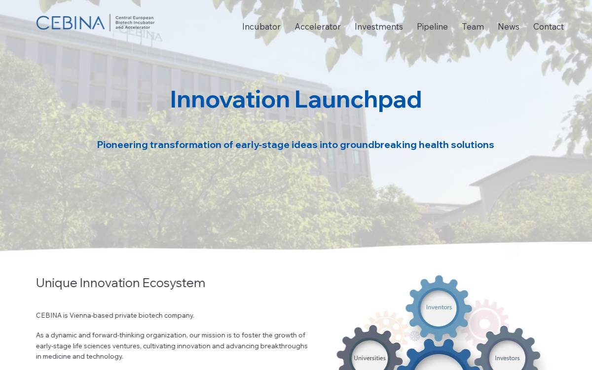 Cebina website preview