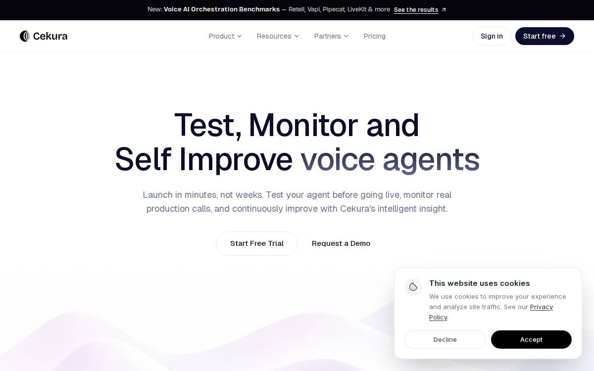 Cekura website preview