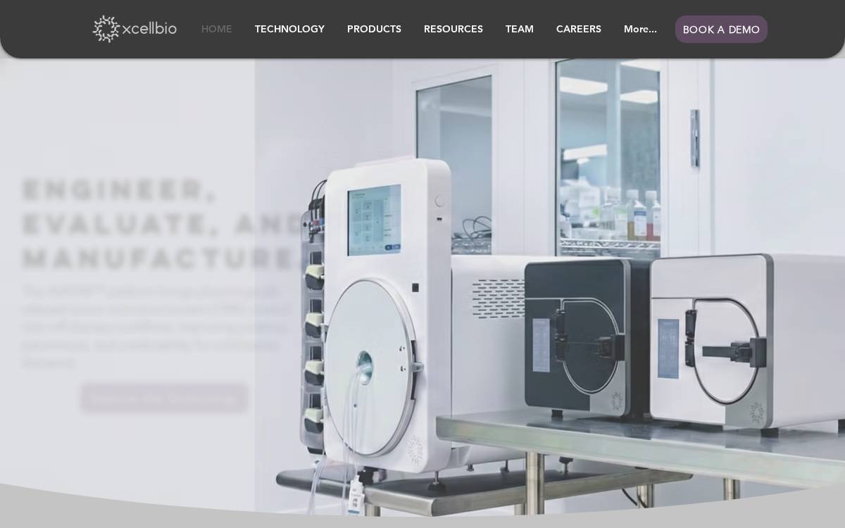 CellB website preview