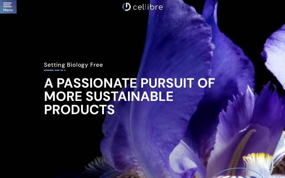 Cellibre website preview