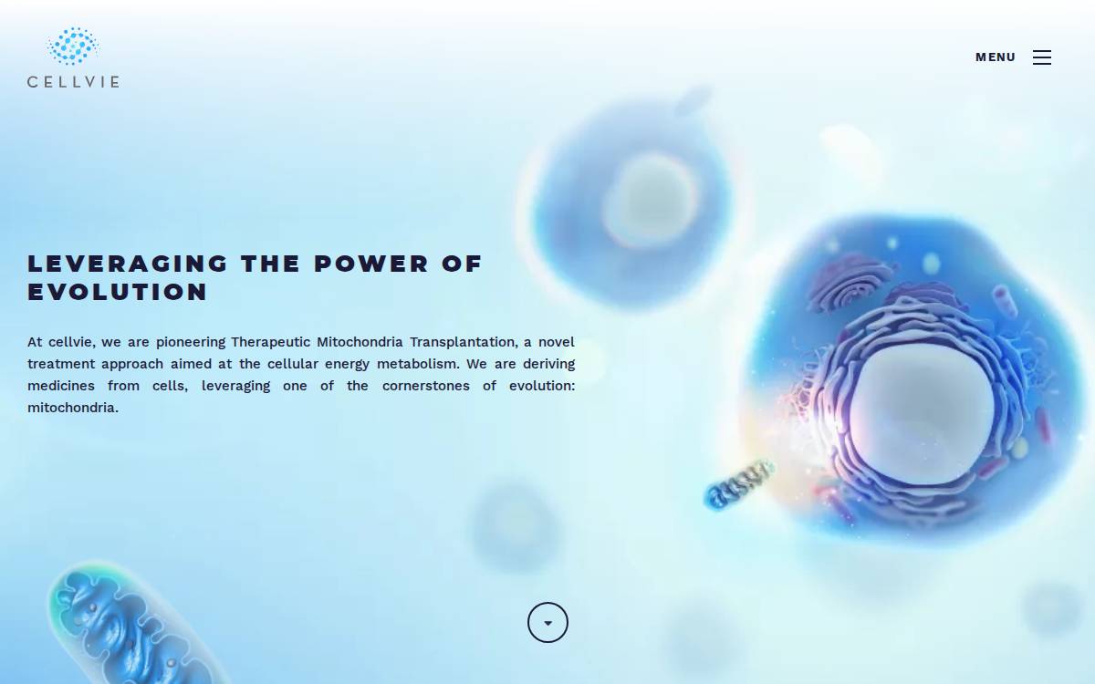 Cellvie website preview