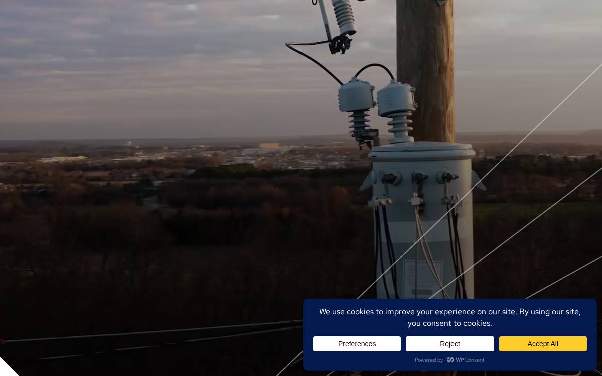 Central Moloney website preview