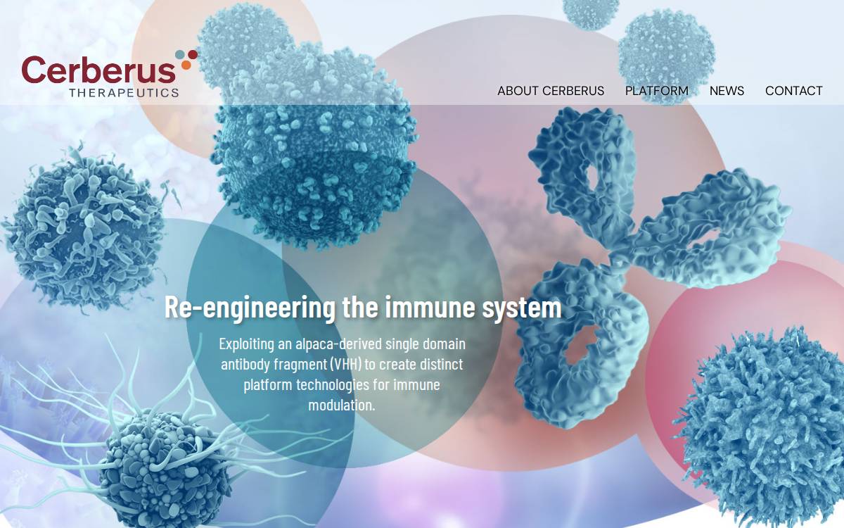 Cerberus Therapeutics website preview