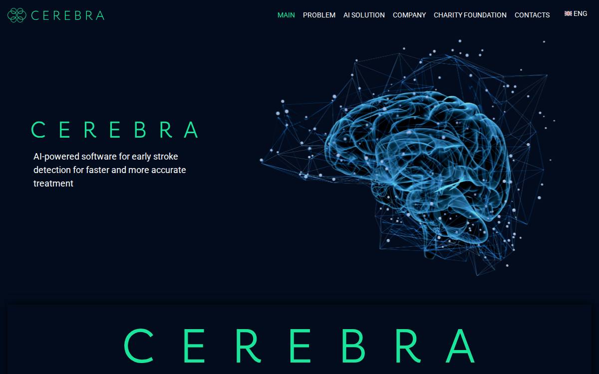 Cerebra website preview