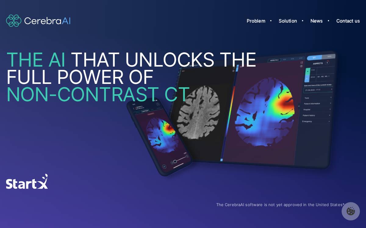 Cerebraai website preview
