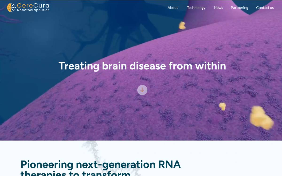 Cerecura Nanotherapeutics Inc. website preview