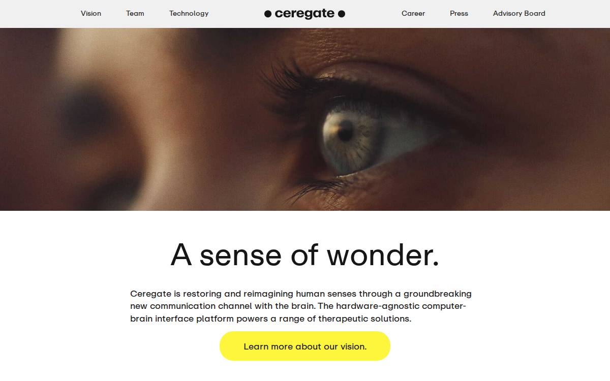 CereGate website preview