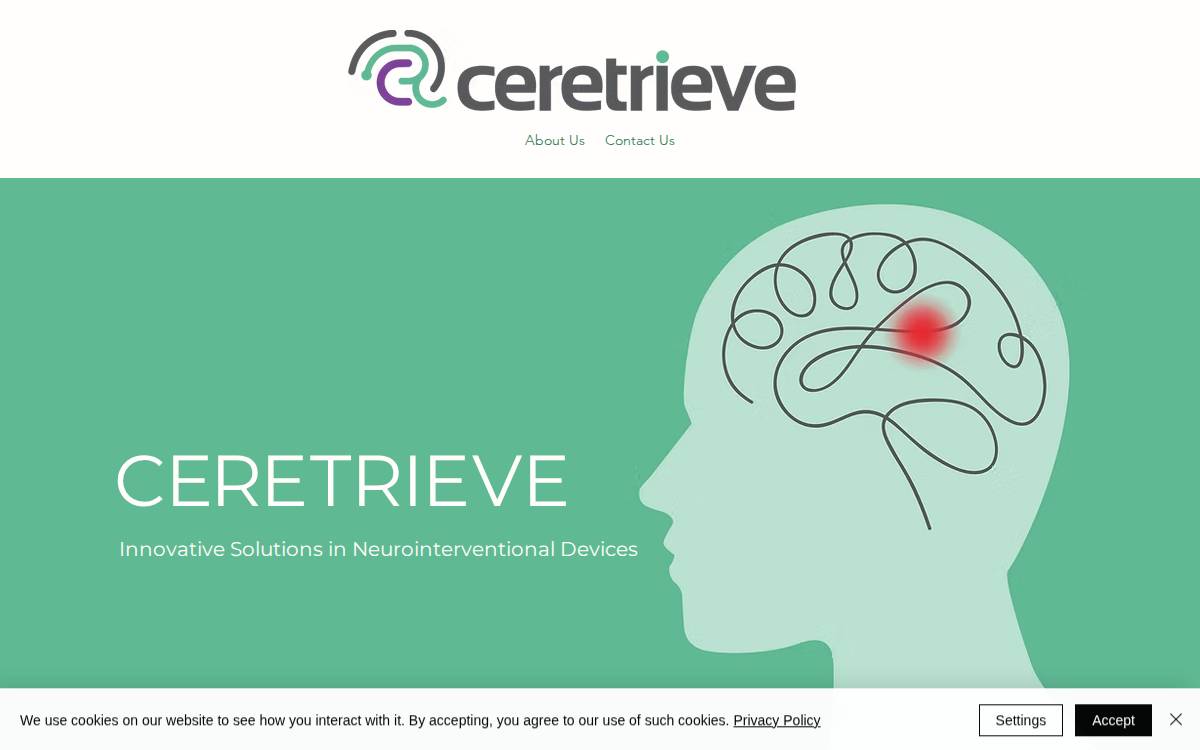 Ceretrieve website preview