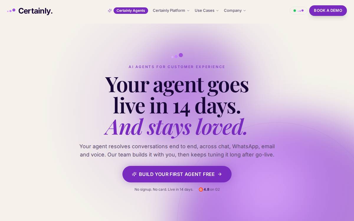 Certainly website preview