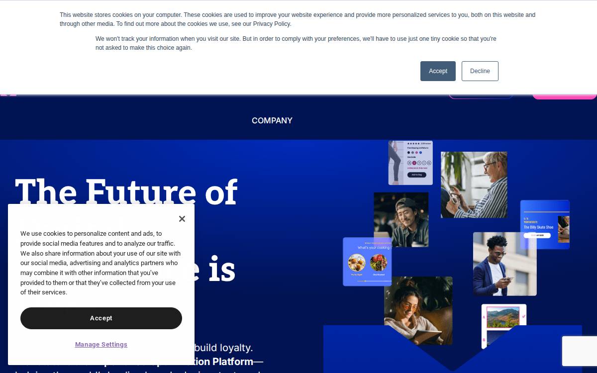 Certona website preview