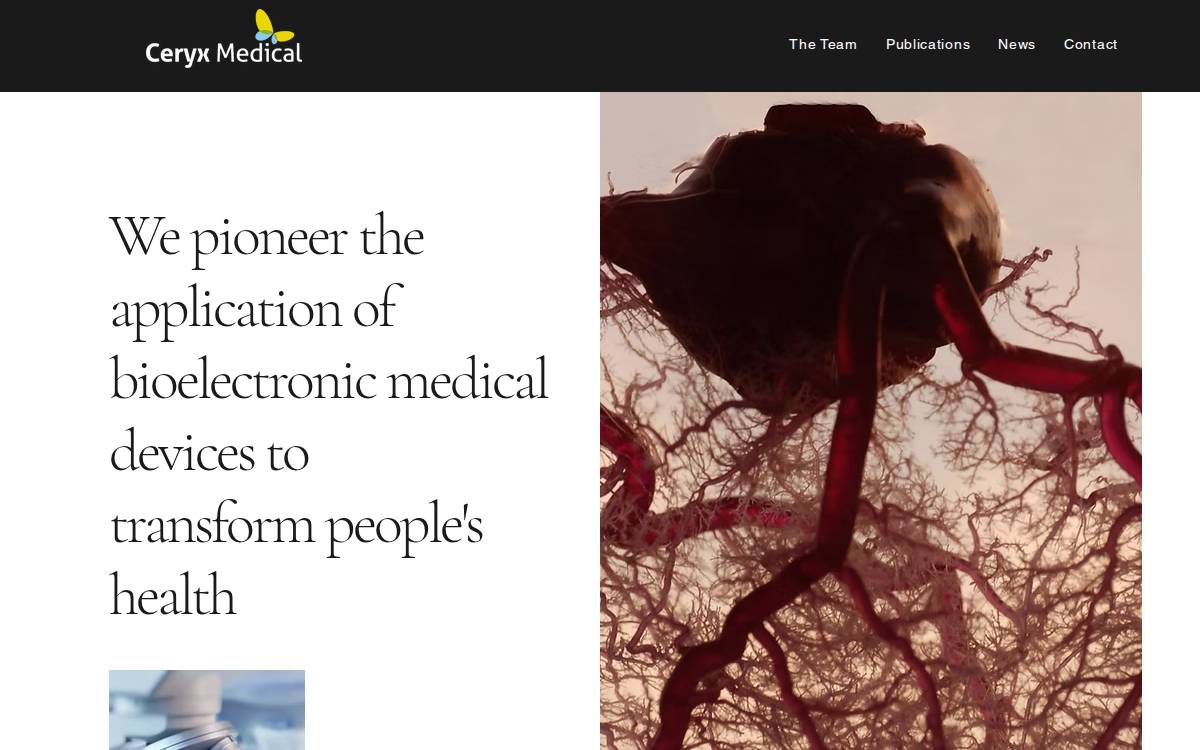 Ceryx Medical website preview