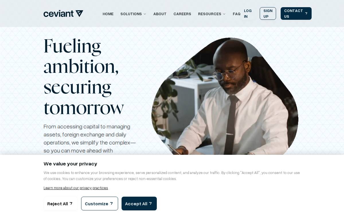 Ceviant website preview