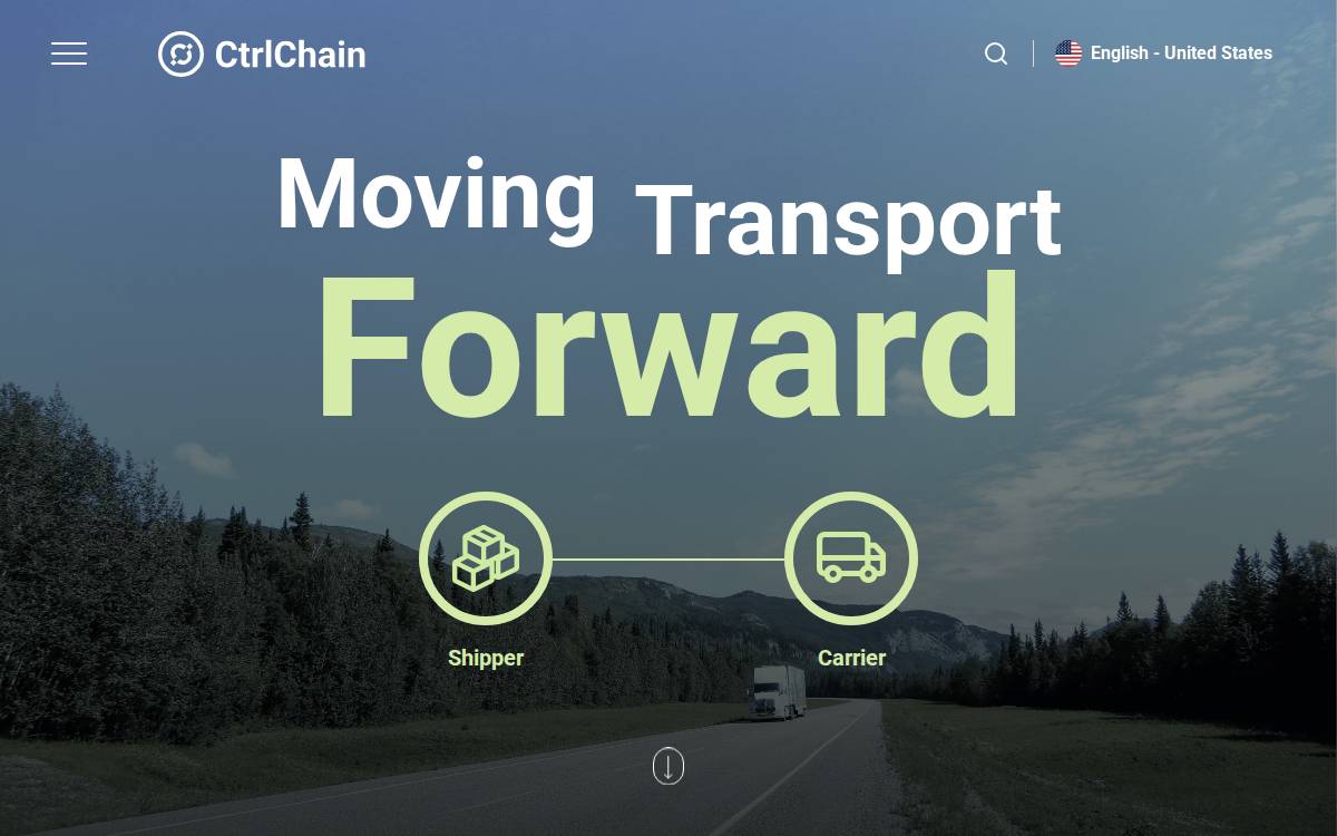 Chaincargo website preview