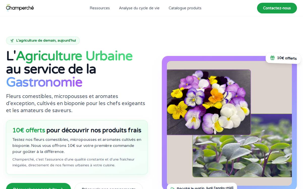 Champerché website preview
