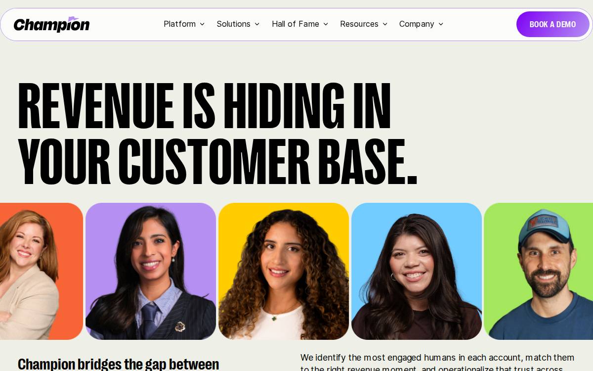 Champion website preview