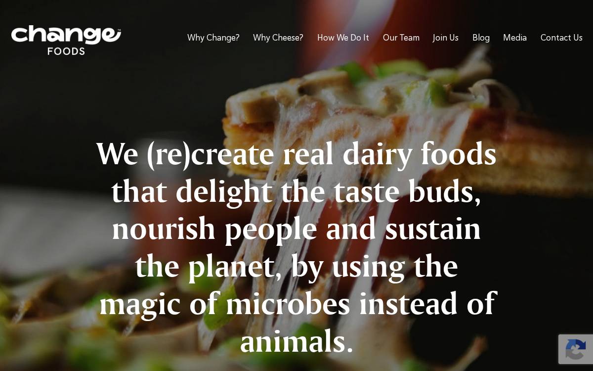 Change Foods website preview