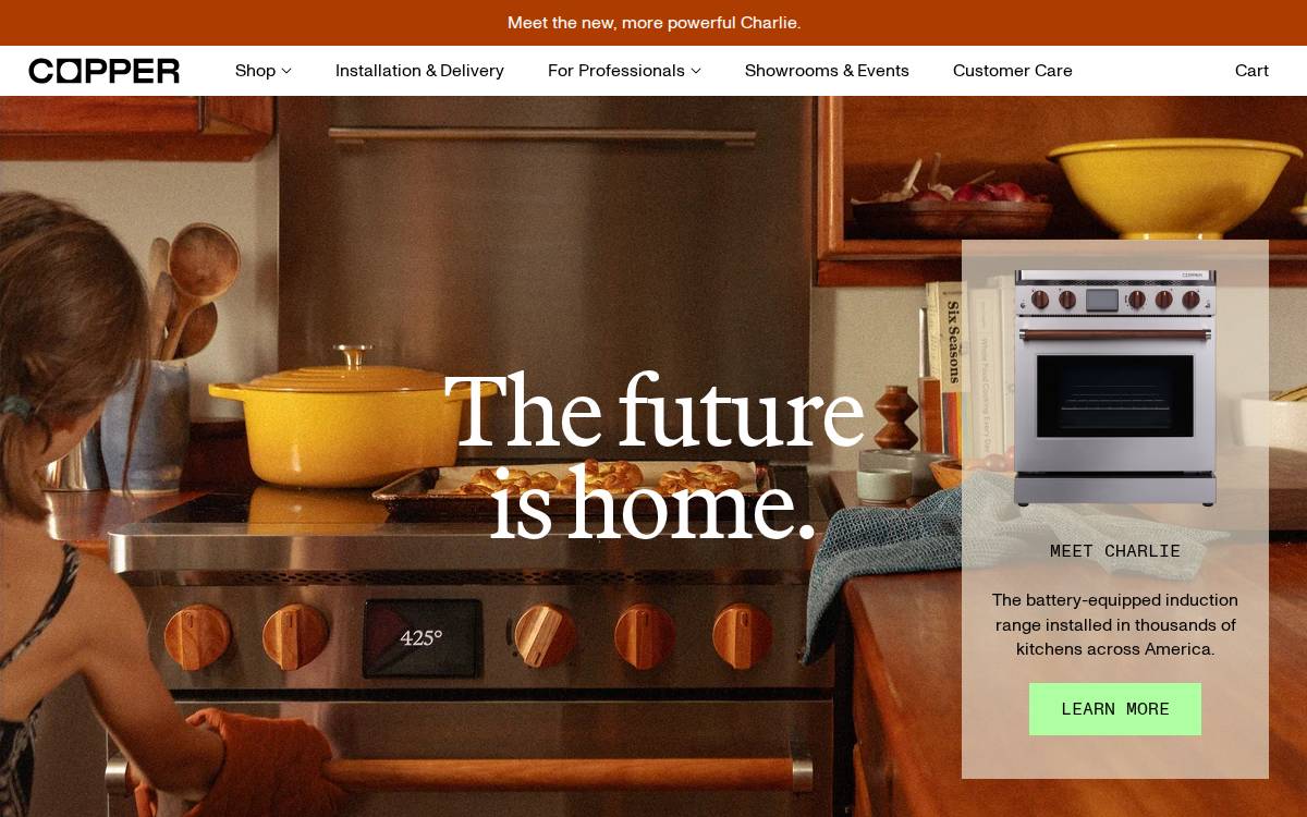 Channingcopper website preview