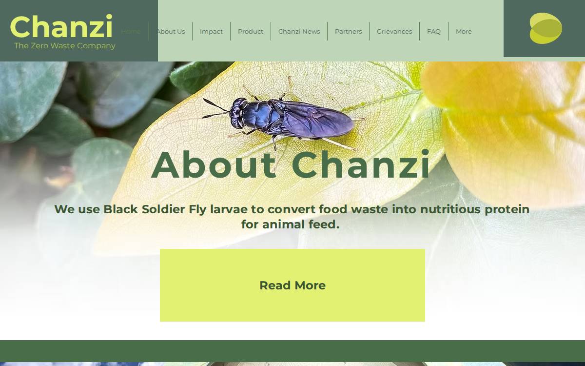 Chanzi website preview