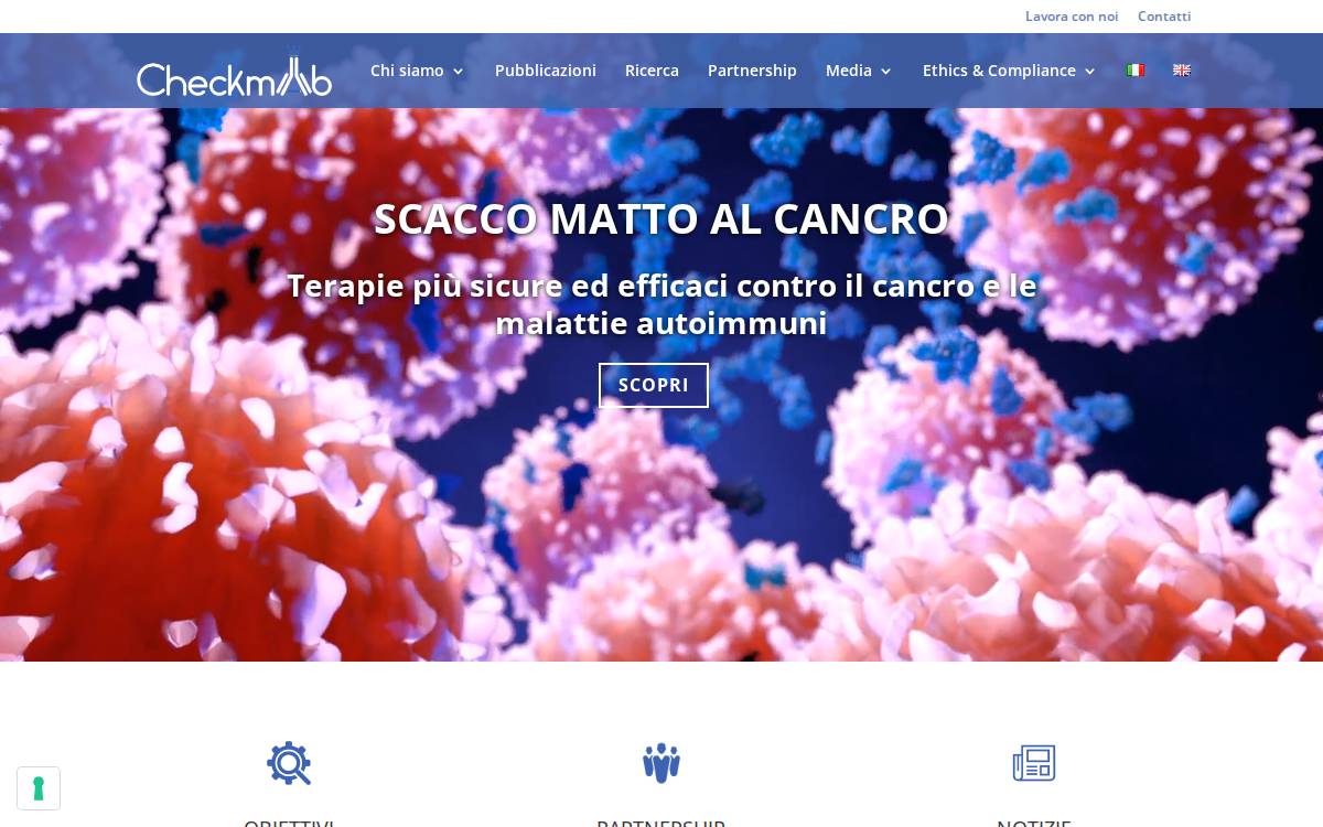 CheckmAb website preview