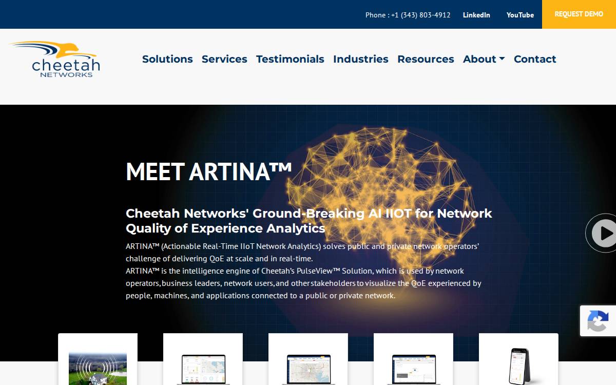 Cheetah Networks website preview