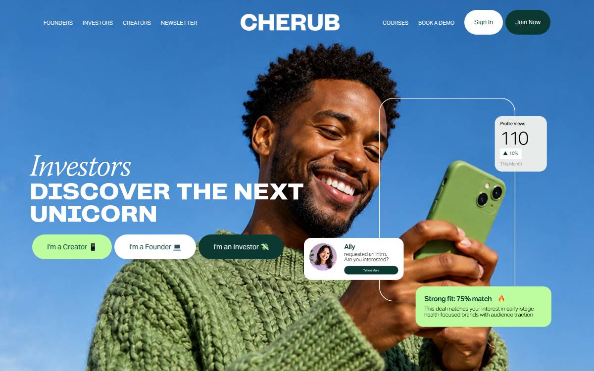 Cherub Technologies website preview