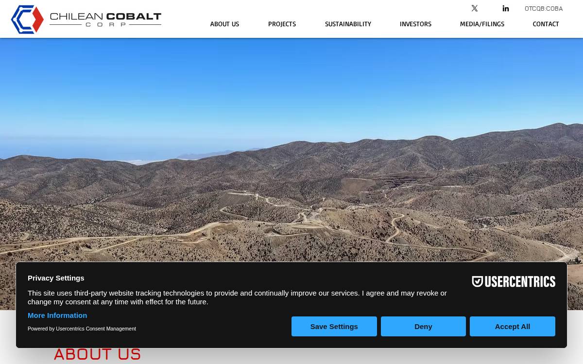 Chilean Cobalt website preview